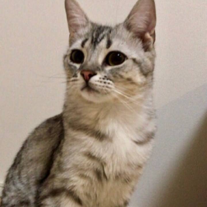 F433b5a6 b43c 4cd2 9056 3bb3b7a58c4f