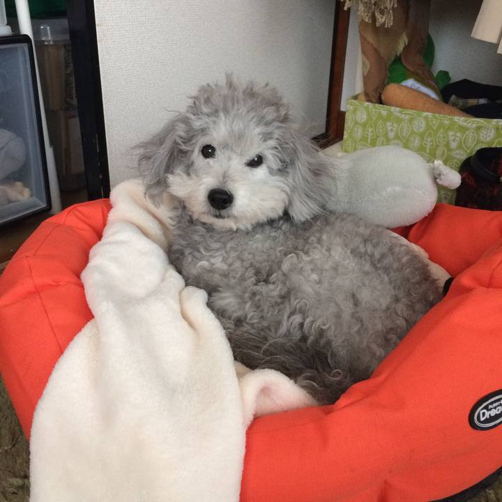 F4348519 094a 45ee 818c 77490bc81666