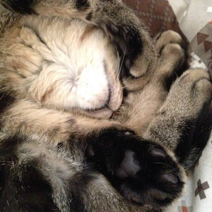 F4349ab5 e742 453a a280 36272161175e