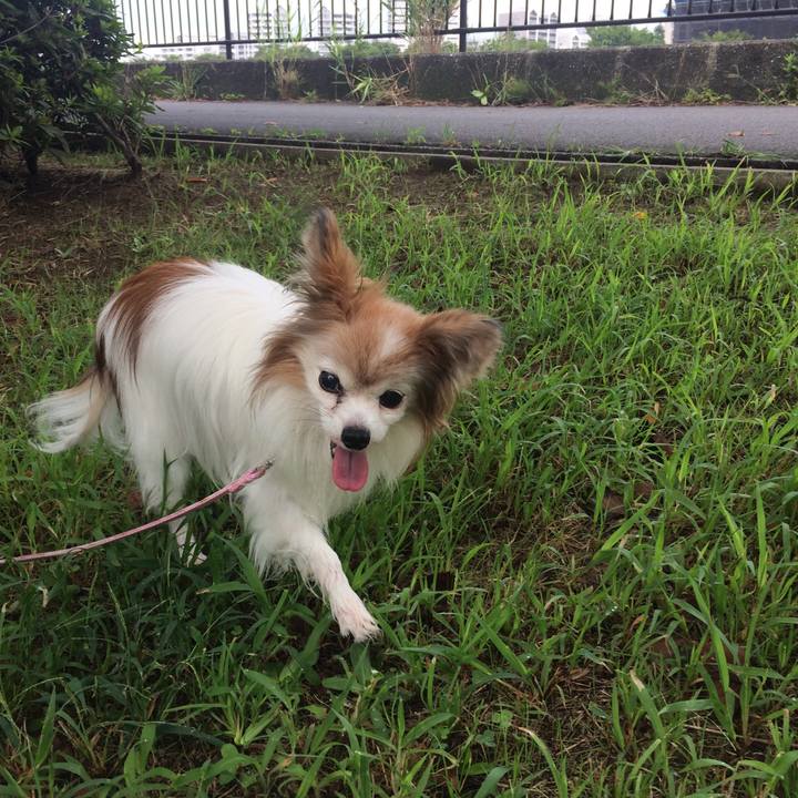 F434e1c9 4fe4 458e a396 4c24feef116a