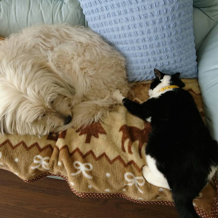 F434efef df4f 4efb a426 15697a243154