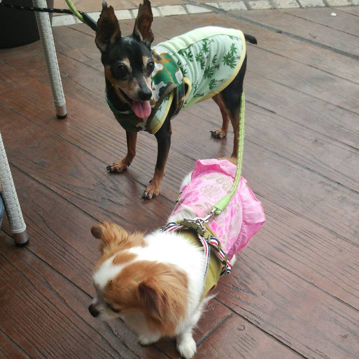 F434ffcd 8a7f 4e2e 9b70 012c68700550