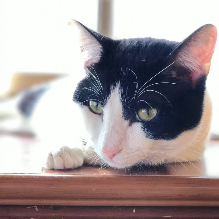 F4350506 8526 4bce 9efc a933c797657a