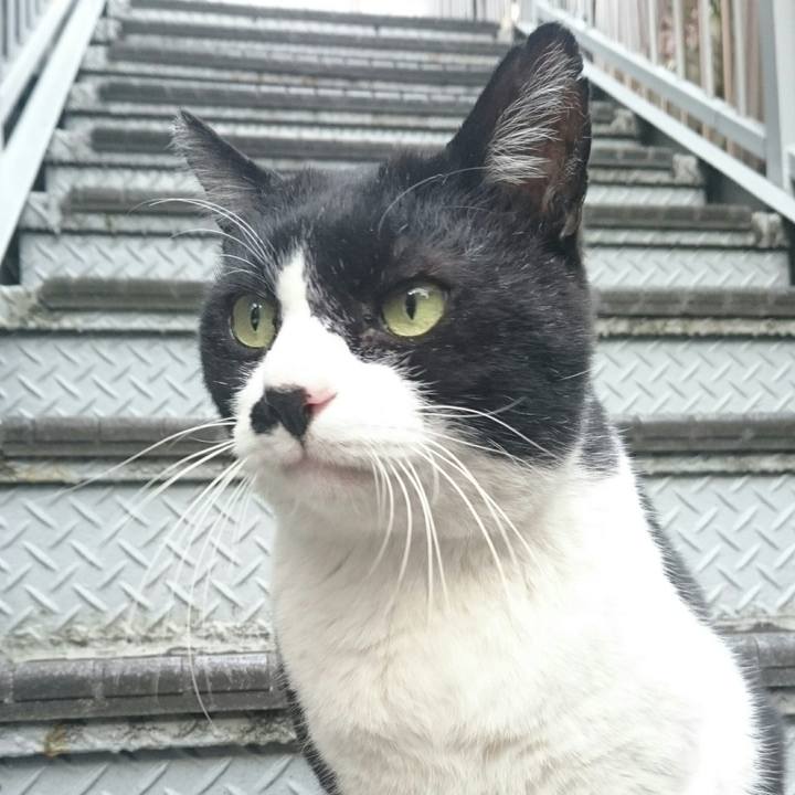 F436129b a0d4 49a7 8328 3188ad559f12