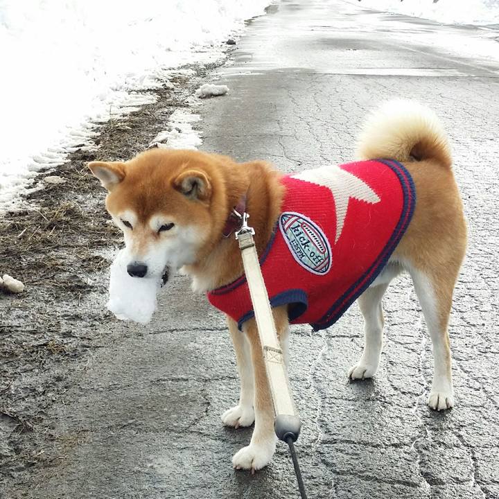 F436d9a0 dfac 4ecd b8b1 60b373102d30