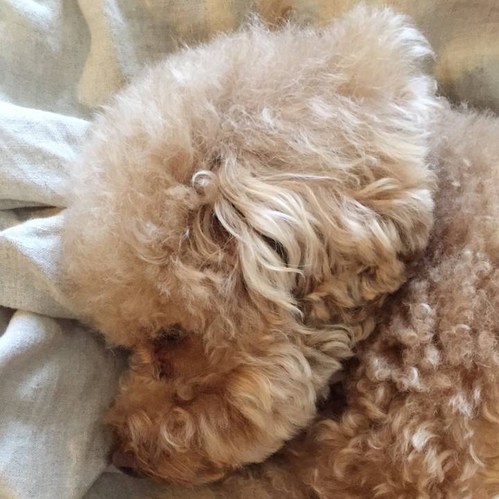 F4371182 16f0 463d a848 04f4e098220c