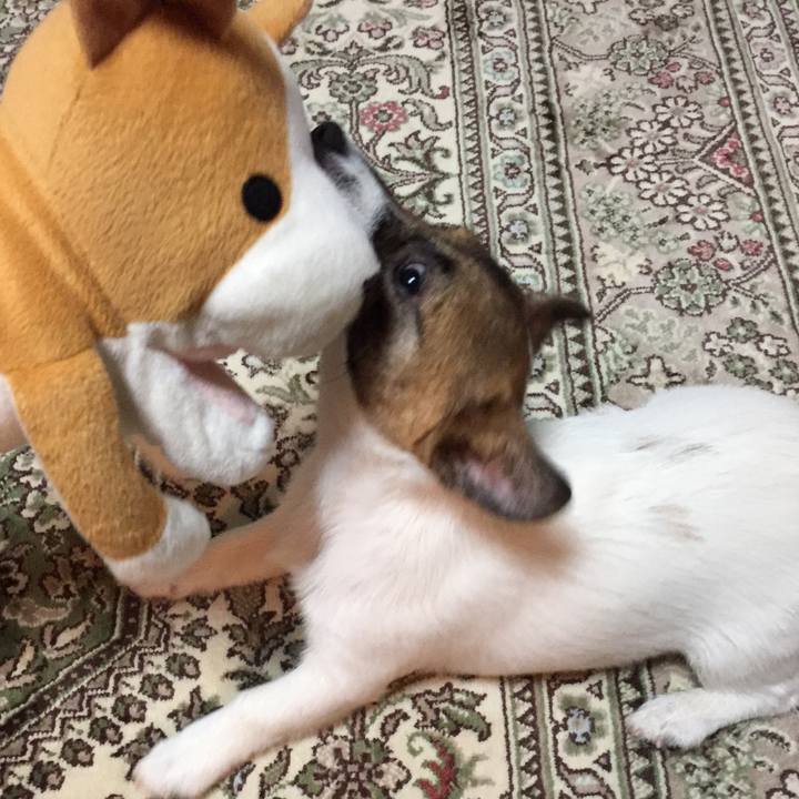 F4373129 1228 483c a6ca 1e98b9a42c35