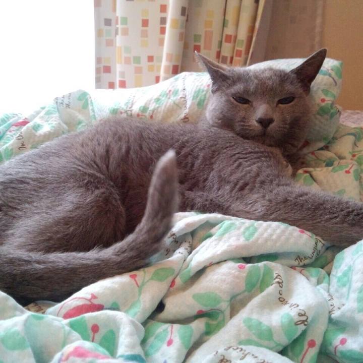 F437402d b486 46ef 96a9 6a67011a2519