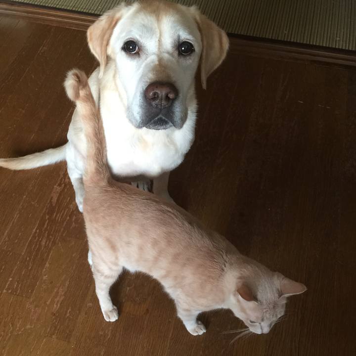 F4381206 2e05 46f7 9998 8a81a033f0ae