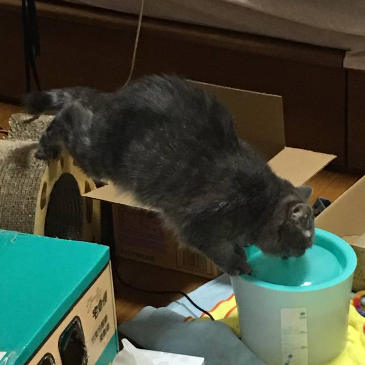 F4383f1f ab4e 45be bf0f f90f44db32f3