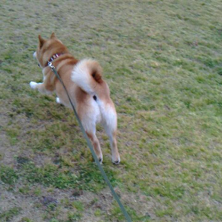 F438adb7 1e7e 4a31 8df8 e8975eff8351