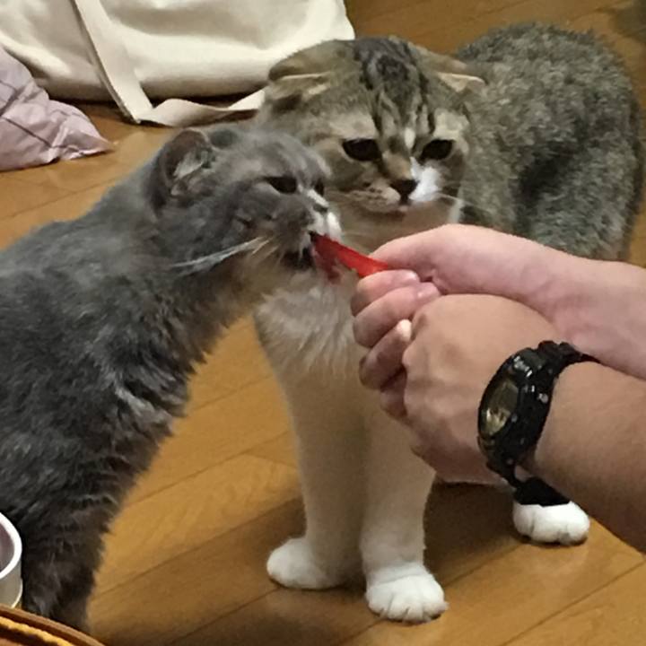 F438b3f9 dedb 44dd 95d6 a5497135ee5c