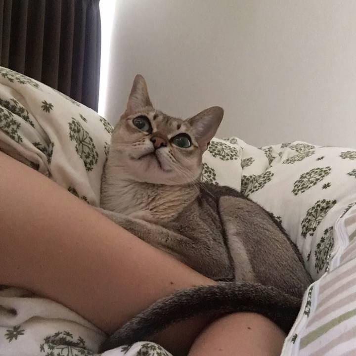 F438fce7 a26d 4e81 ac06 bad86e479b21