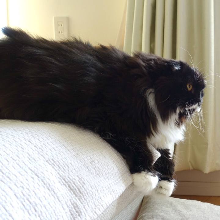 F43901e7 6334 4cb8 80ef 1037e2b83fad