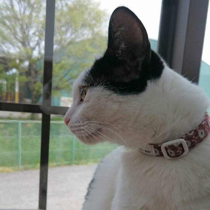 F439ac45 23dc 4b77 9f3a 1f14549001e8