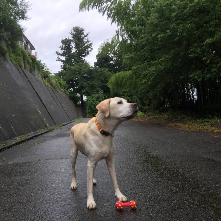 F439f757 ba3f 47ee 8121 744da7e738bd