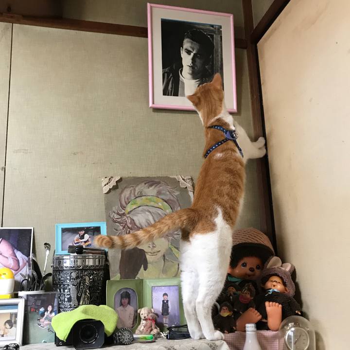 F43ab57a 25b5 403c b43f 51fed42531ac