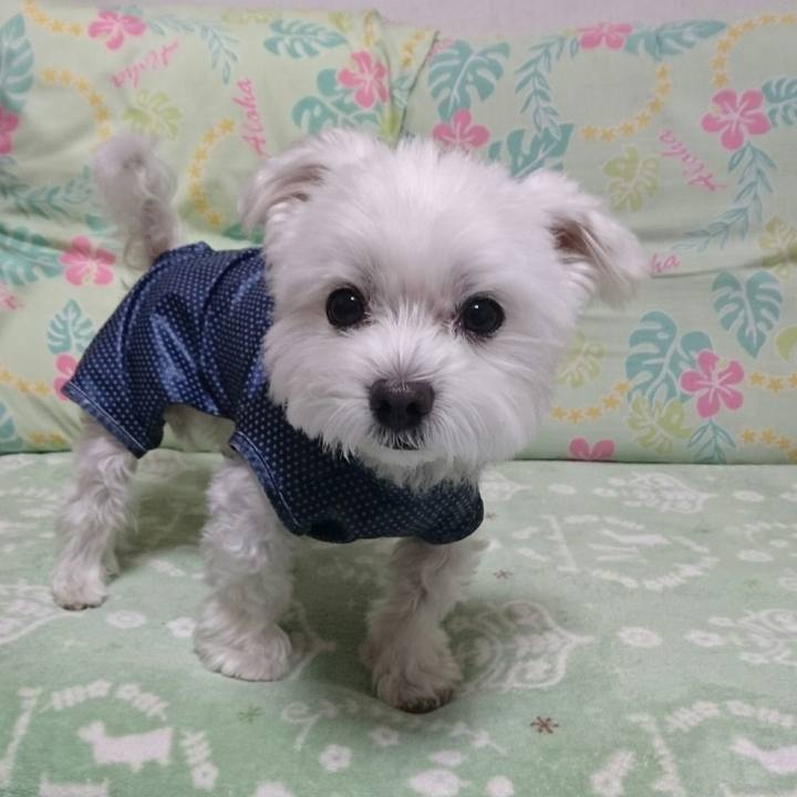 F43ad3e8 c7e7 477f 8544 be37dcafb182