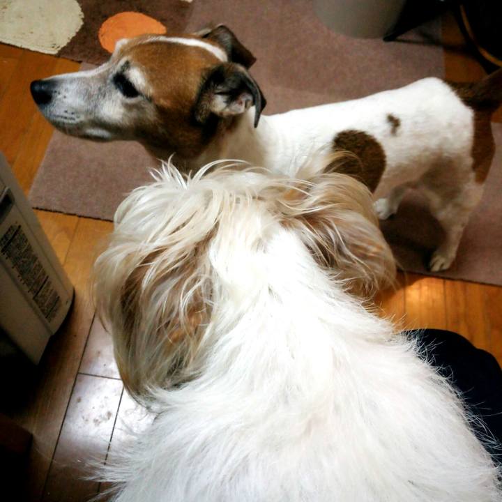 F43b7a45 a40a 4621 8603 52f60c1ddc7d