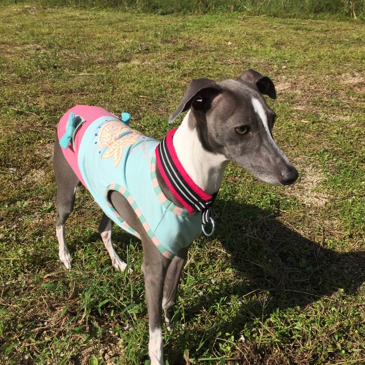 F43c6939 0be9 4bcd 84db 5a5571d0a52e