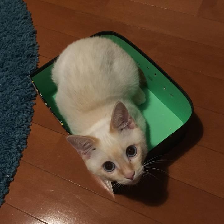 F43cd323 2384 463f 9598 bd1a08b15d28