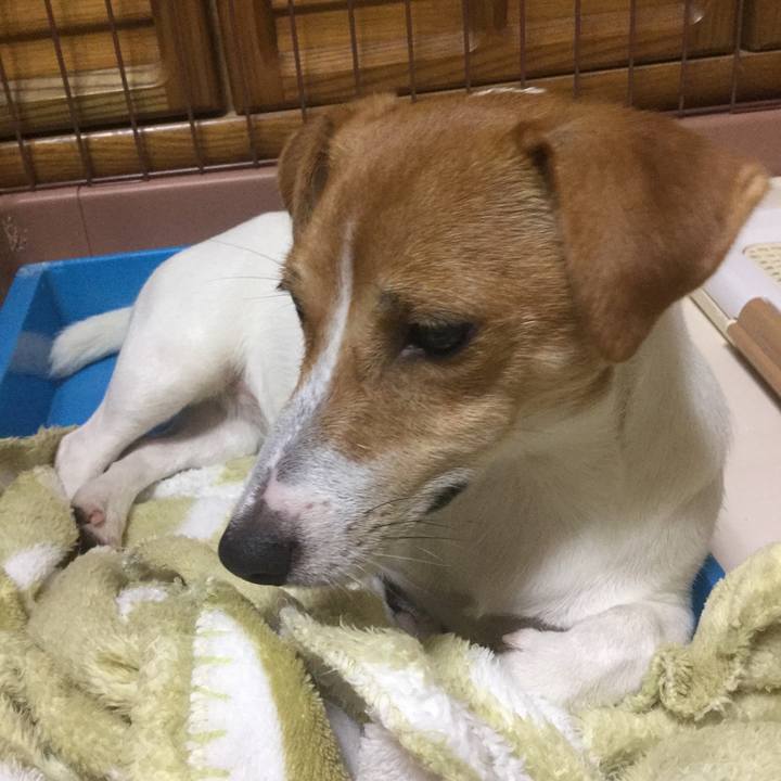 F43cf3ae 0e7e 40bc 8e36 d36ce8fc8f11