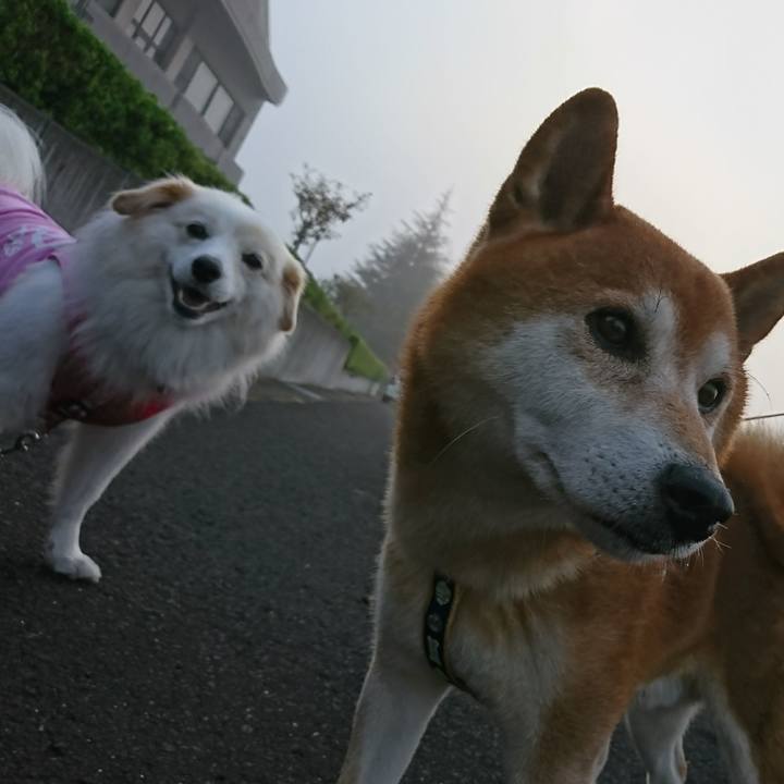 F43d5ad3 0c9c 4212 9d69 d51adba4795f