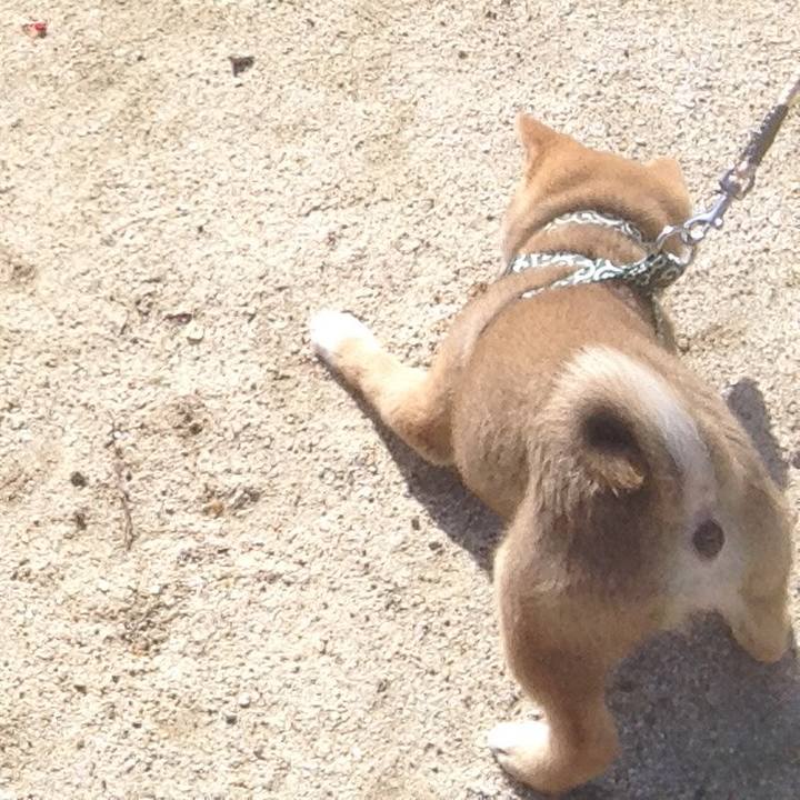 F43d5bc4 d553 4954 a856 ecf175a2872a