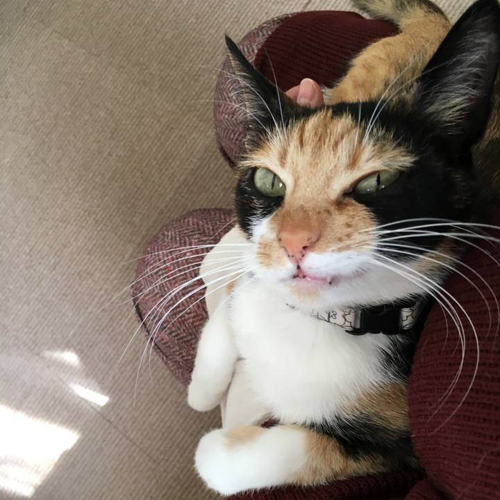 F43d947a 84b5 40fe 96dd 8cb0c351753e