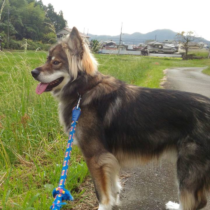 F43dec69 cc1e 4fda aa78 995d658642d6