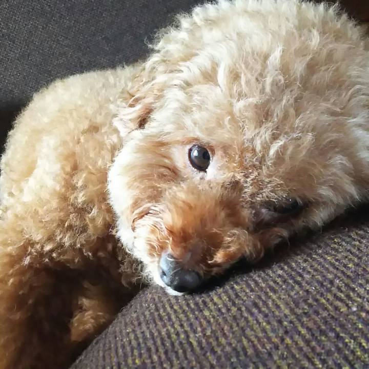 F43ec56b 1ae3 4df4 83b4 46bced033716