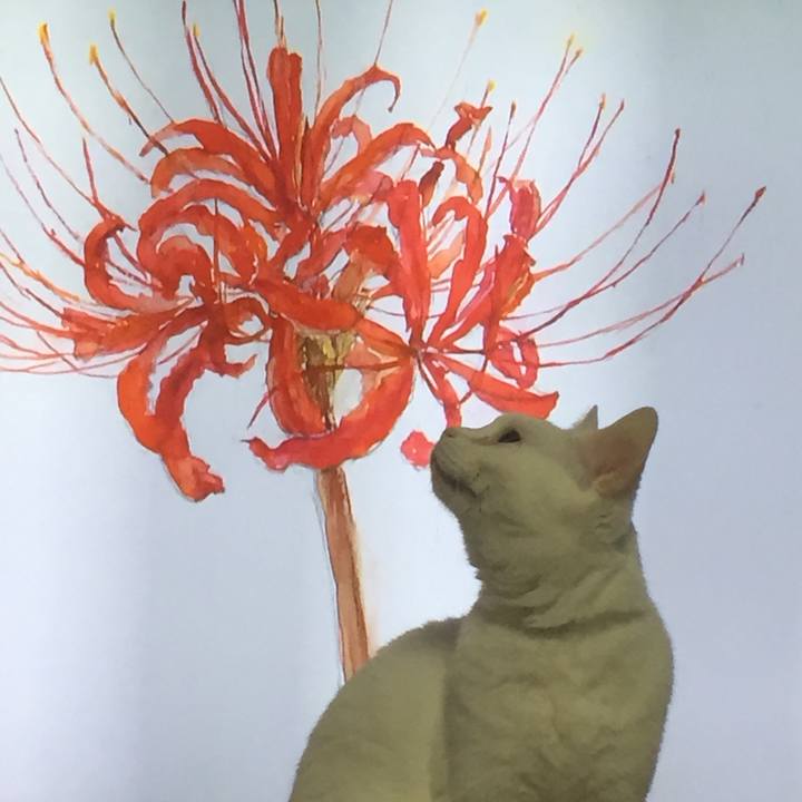 F43f251e b373 4053 80af cc8987bfd2d3