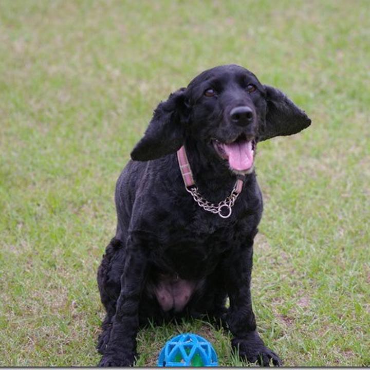 F43f462f 99f3 4fc3 9e2c 3ce6d4400cac