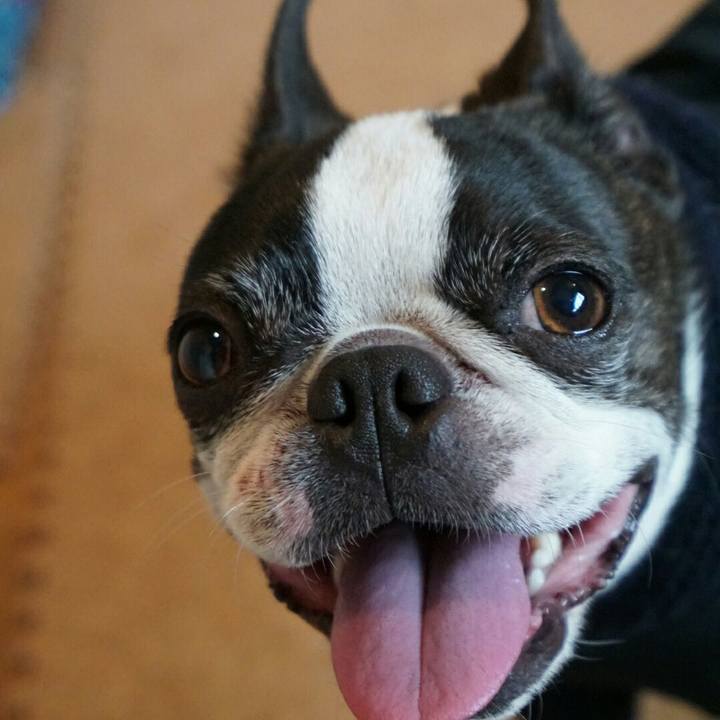 F43f4b8a 5e78 47e5 a1e7 00fd9b542968