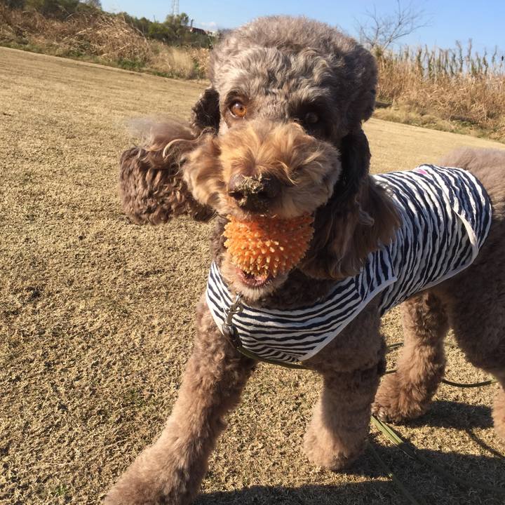 F4400f90 e552 4611 b649 5bbfb21f92cb