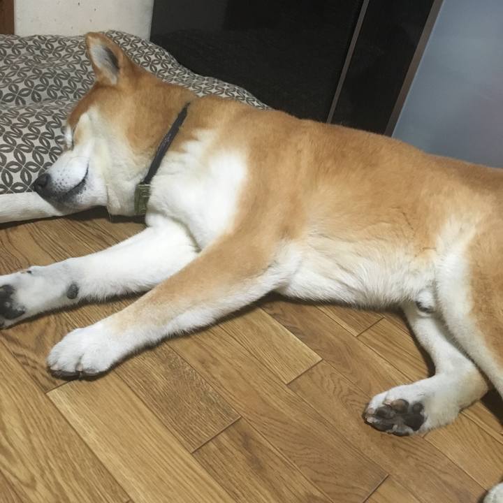 F440417e 0056 4865 bc1b 0716f1f2c2b9