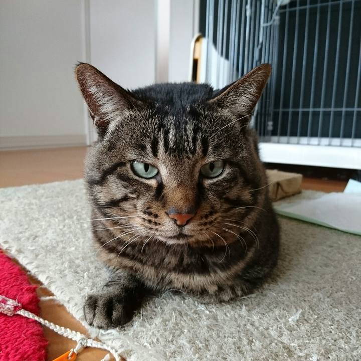 F44042a7 53c4 4c8c 89ac b9bee3a37911