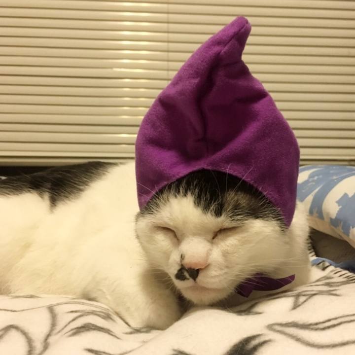 F4406331 9a16 4785 b890 aee5a66dbf38