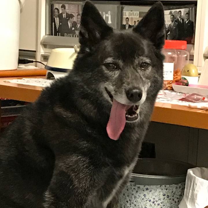 F44071f6 f43c 4751 9ba1 59562dc01541