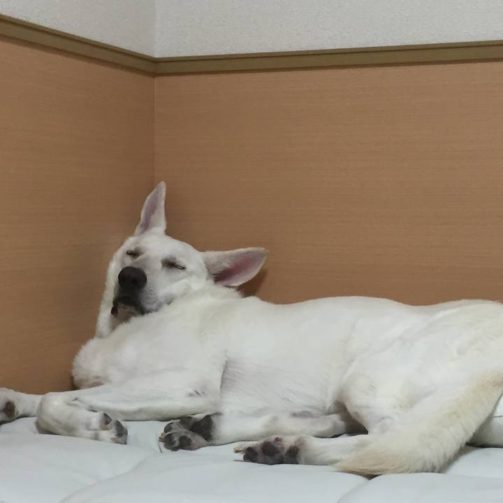 F4409fa0 174c 45b8 bc36 c0d9d33a0ec3