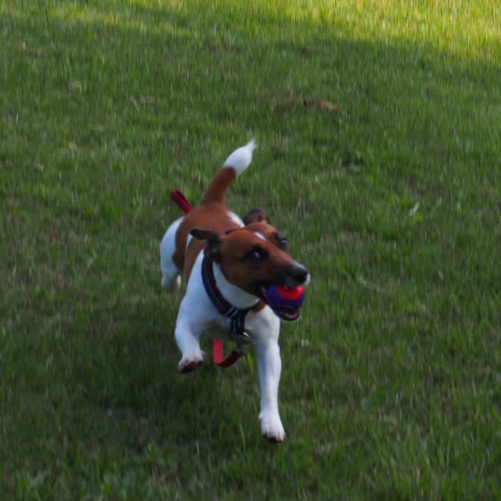 F441324d 087c 423c b984 bac7c1f5e7a6