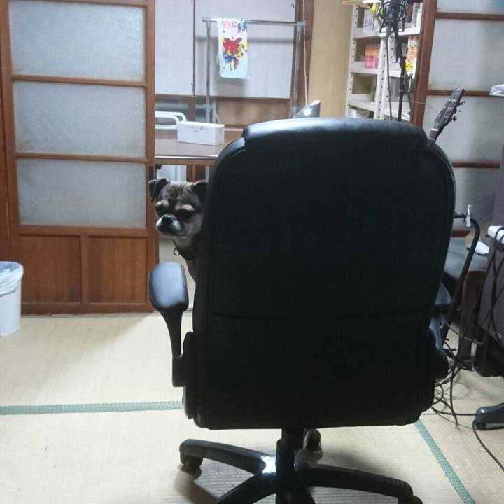 F4414578 d25a 4356 9dd2 3834965ae8bc