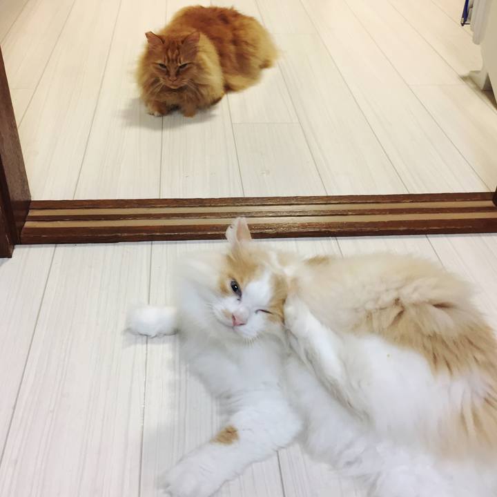 F4415a4e 69f1 4749 9260 10941e44cc25