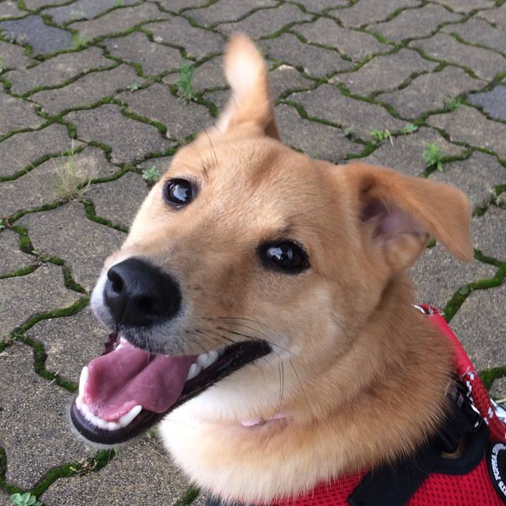 F4415cbd 8e90 406f 8caa ee8a9a819230