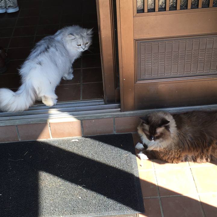 F4418c9f 4140 4e05 9018 5eb290b61b93