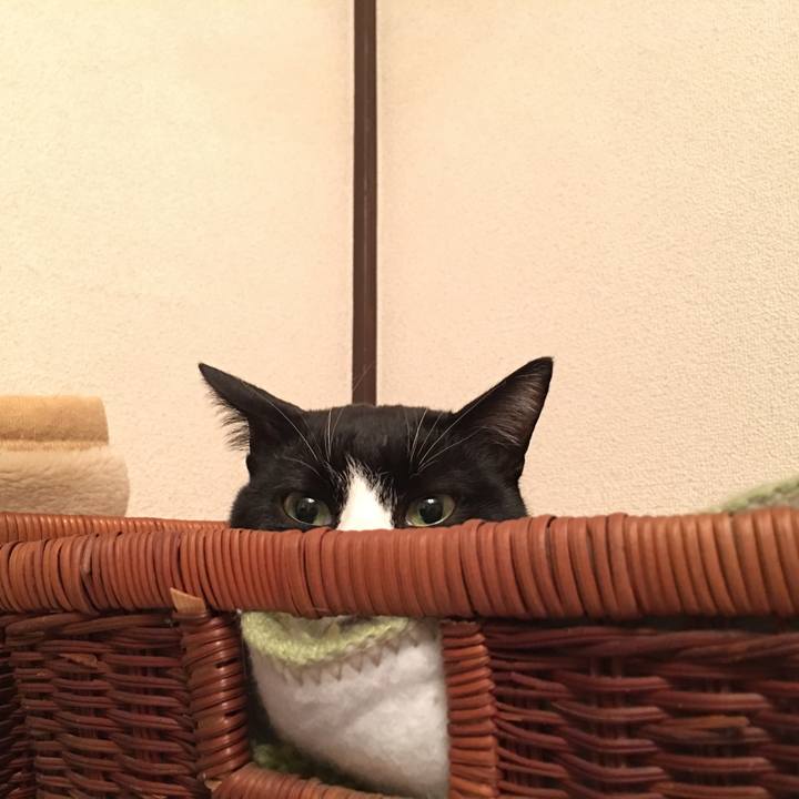 F4429e4d 880d 43ba b571 e1e5a962dd40