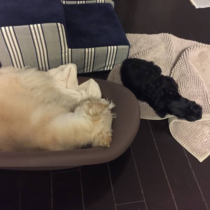 F4432647 ab62 4e71 9674 608819a738da