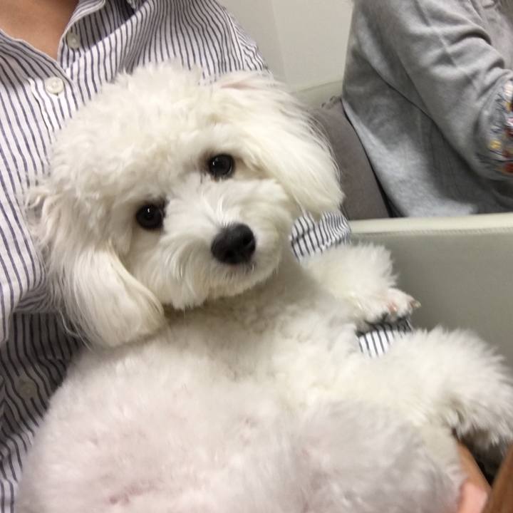 F443640f 3f1e 46f0 b0fa 82ad88428efd