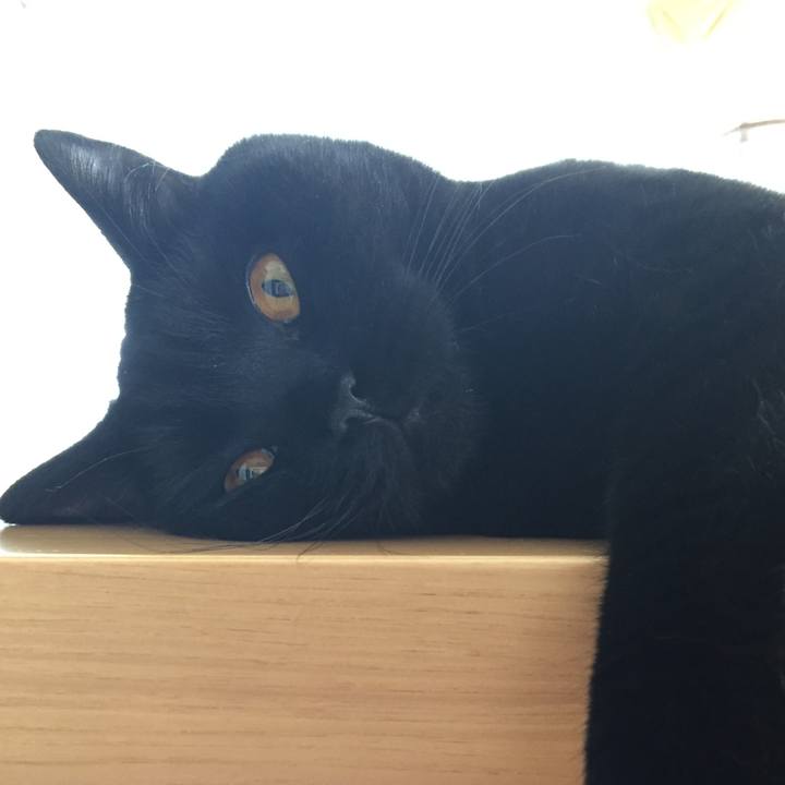 F443a3e9 9e39 49a3 b6c1 c8b07ae73792