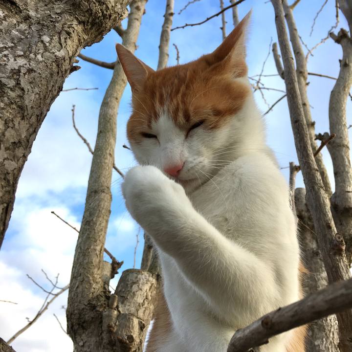 F444ad7f e87a 42a4 962c 6bb3e5f206f9